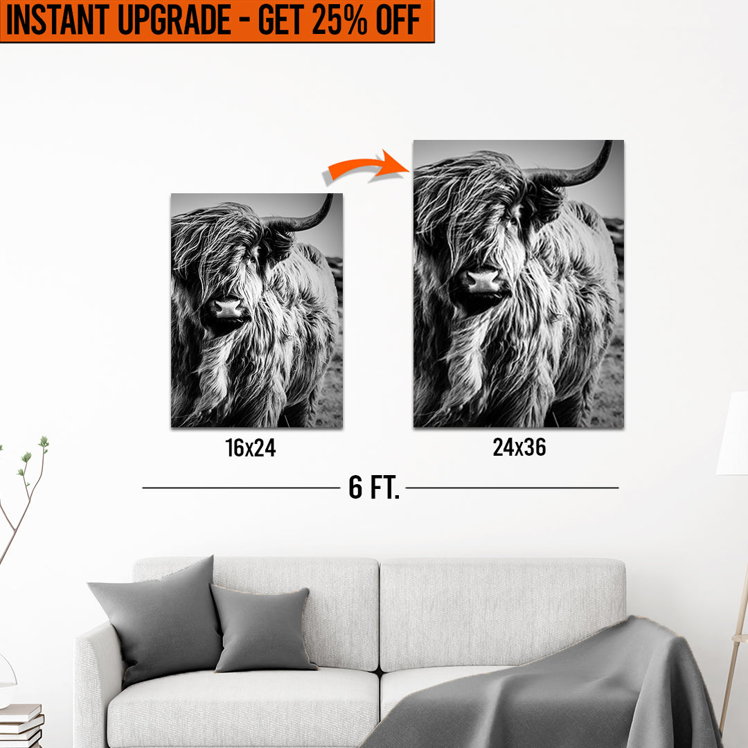 Upgrade Your 24x16 Inches 'Black And White Highland Cow Portrait' Canvas To 36x24 Inches