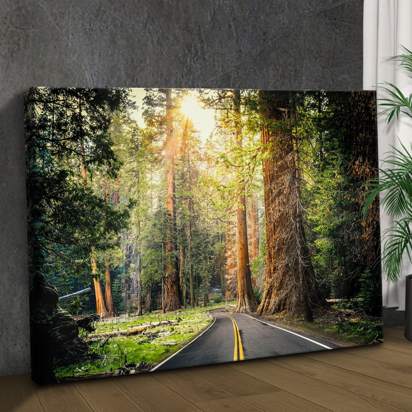 Sequoia Tree Lane Canvas Wall Art Style 2 - Image by Tailored Canvases