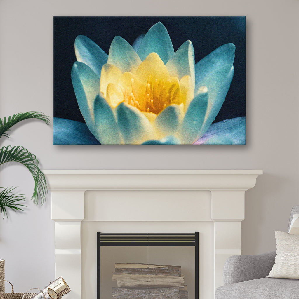 Dreamy Summer Flower Canvas Wall Art by Tailored Canvases