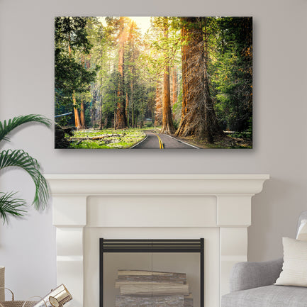 Sequoia Tree Lane Canvas Wall Art - Image by Tailored Canvases