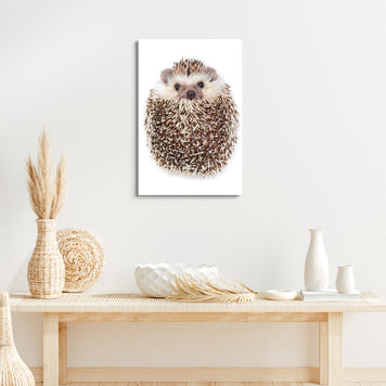 Animals Forest Hedgehog Curled Up Canvas Wall Art