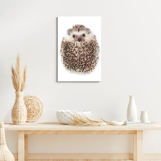 Animals Forest Hedgehog Curled Up Canvas Wall Art - Image by Tailored Canvases