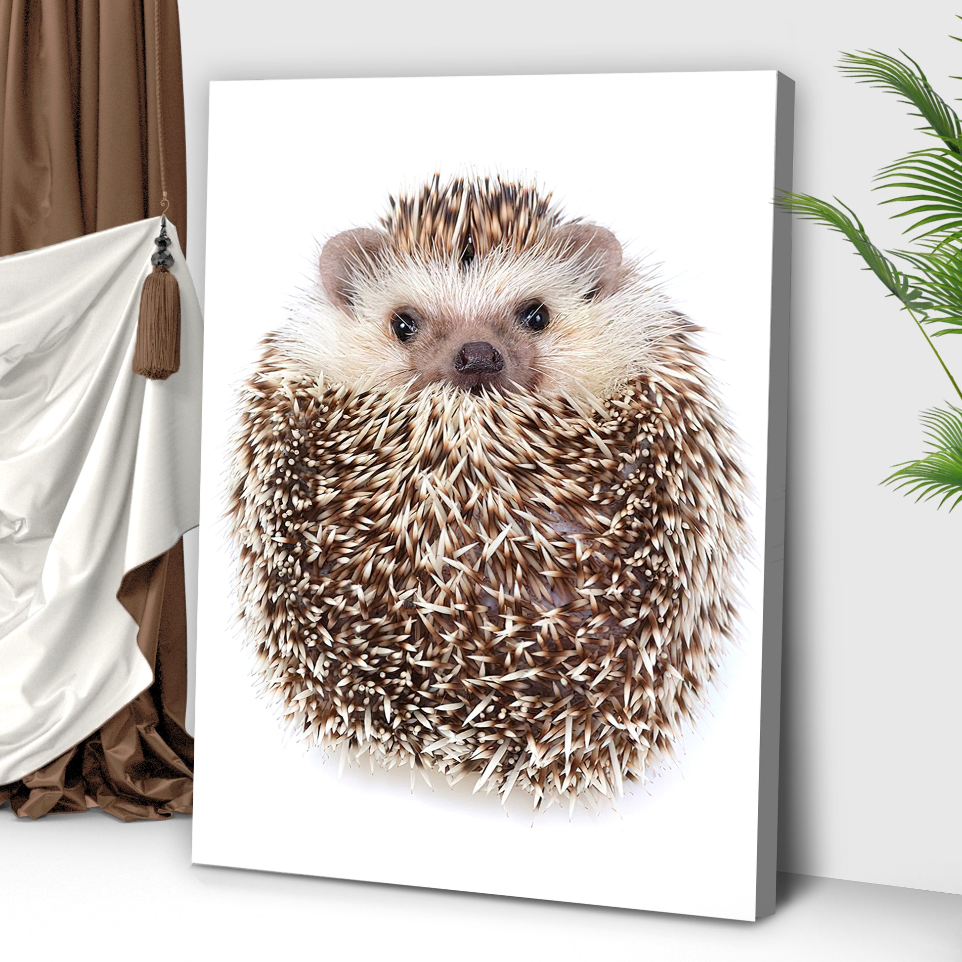 Animals Forest Hedgehog Curled Up Canvas Wall Art Style 2 - Image by Tailored Canvases