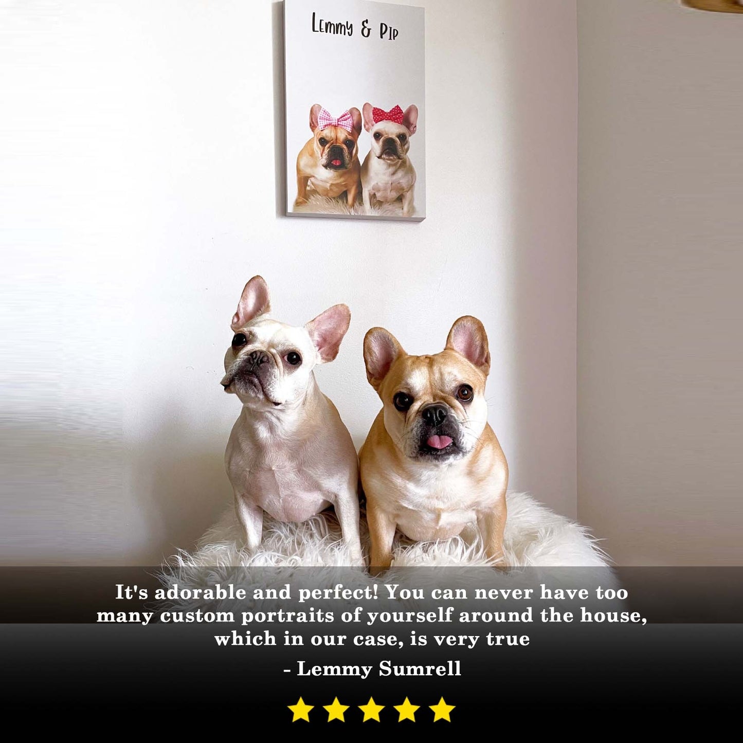 Pet Canvas Sign Style 1 - Image by Tailored Canvases