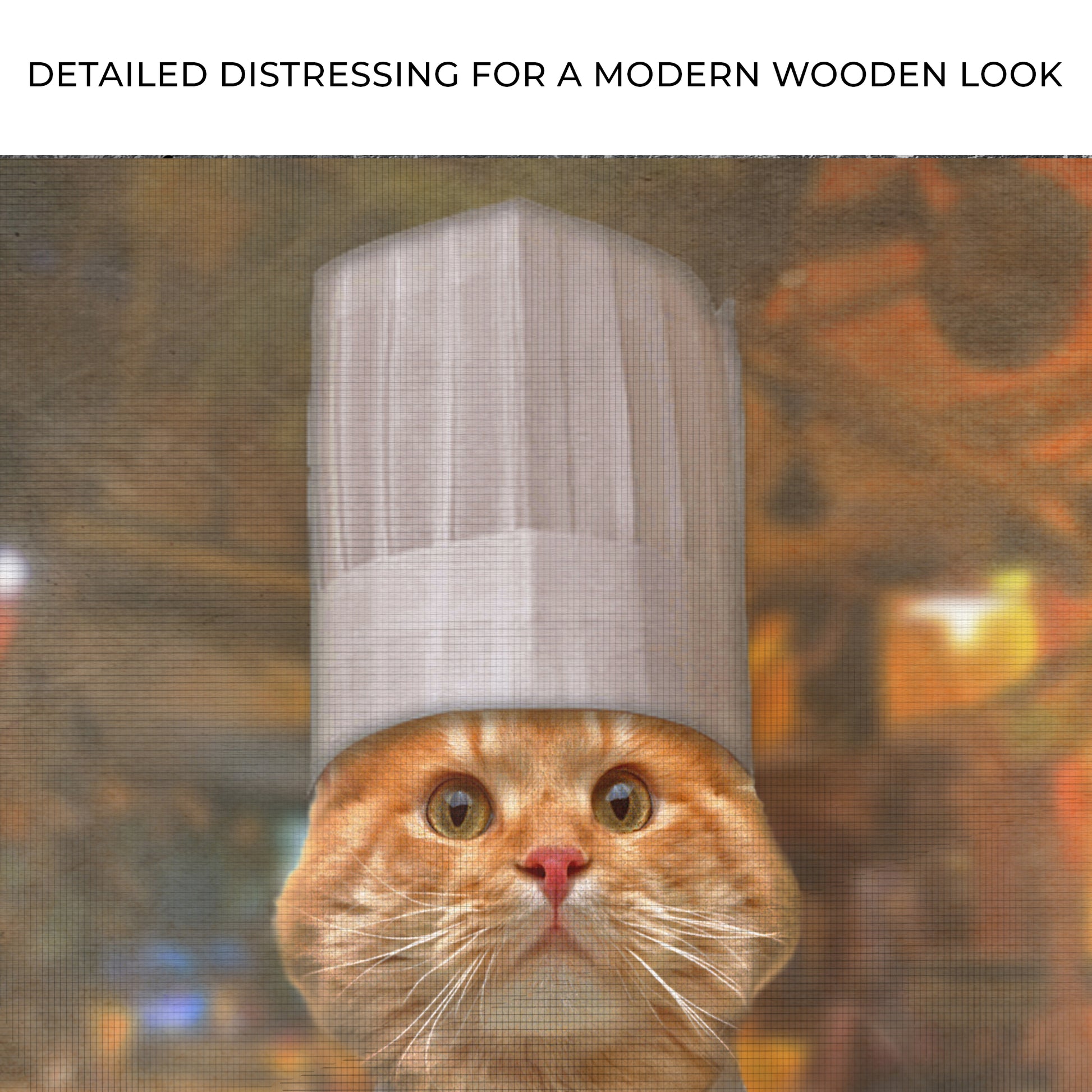 Pet Chef Portrait - American Shorthair Cat Sign Zoom - Image by Tailored Canvases