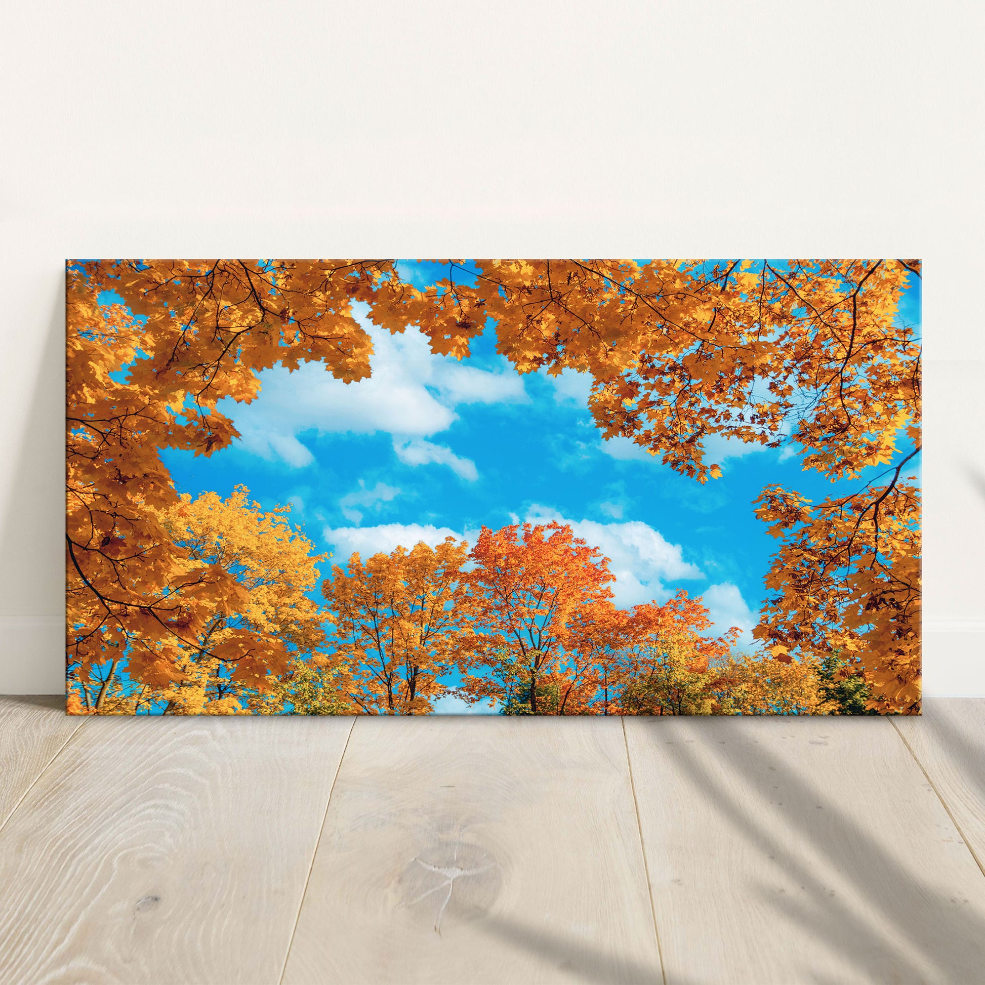 Trees From The Ground Point Canvas Wall Art - Image by Tailored Canvases