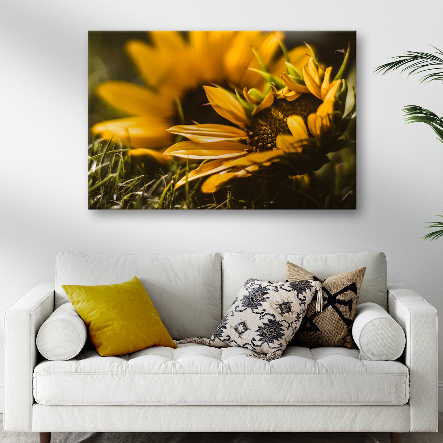 Macro Sunflower Canvas Wall Art - Image by Tailored Canvases