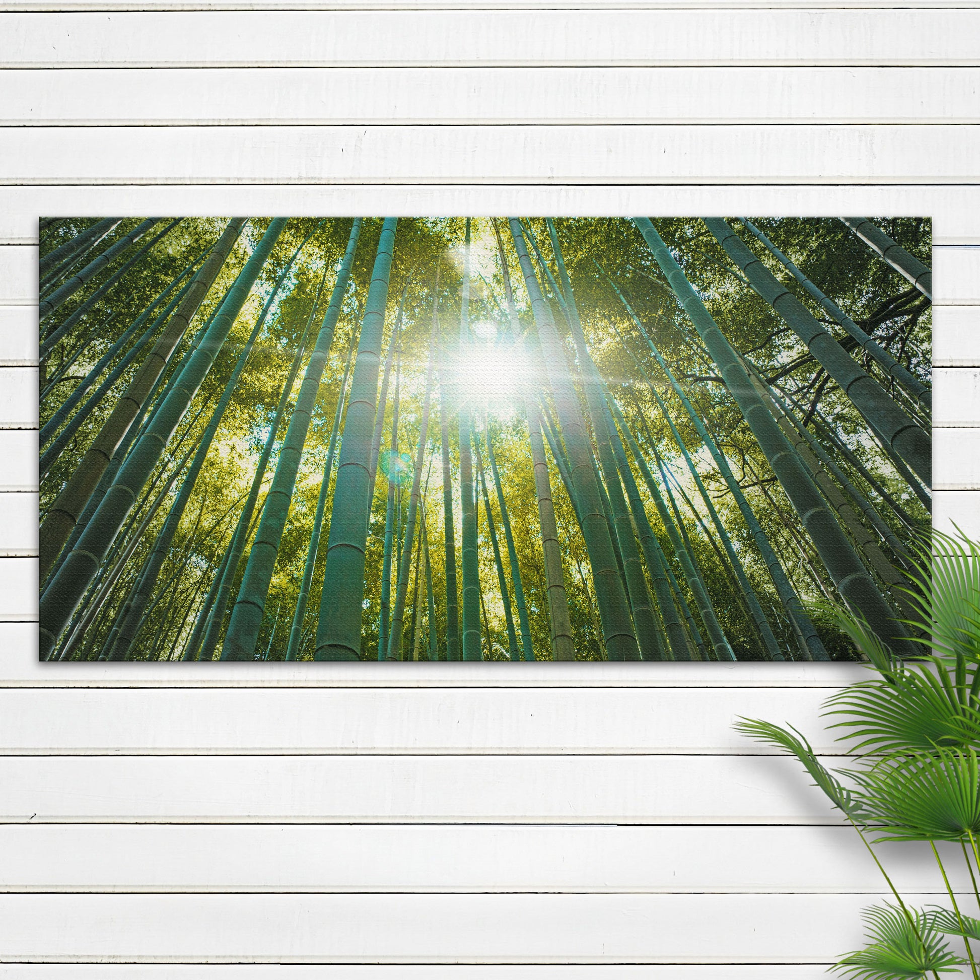 Looking Up Through A Bamboo Forest Canvas Wall Art - Image by Tailored Canvases