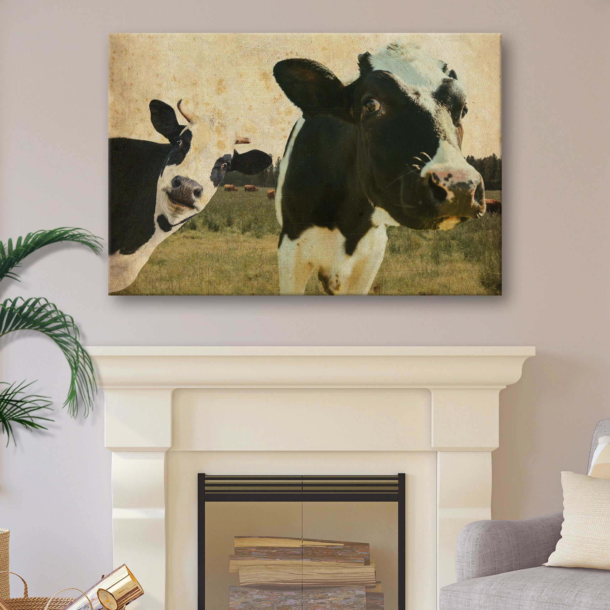 Rustic Curious Cows Canvas Wall Art - Image by Tailored Canvases