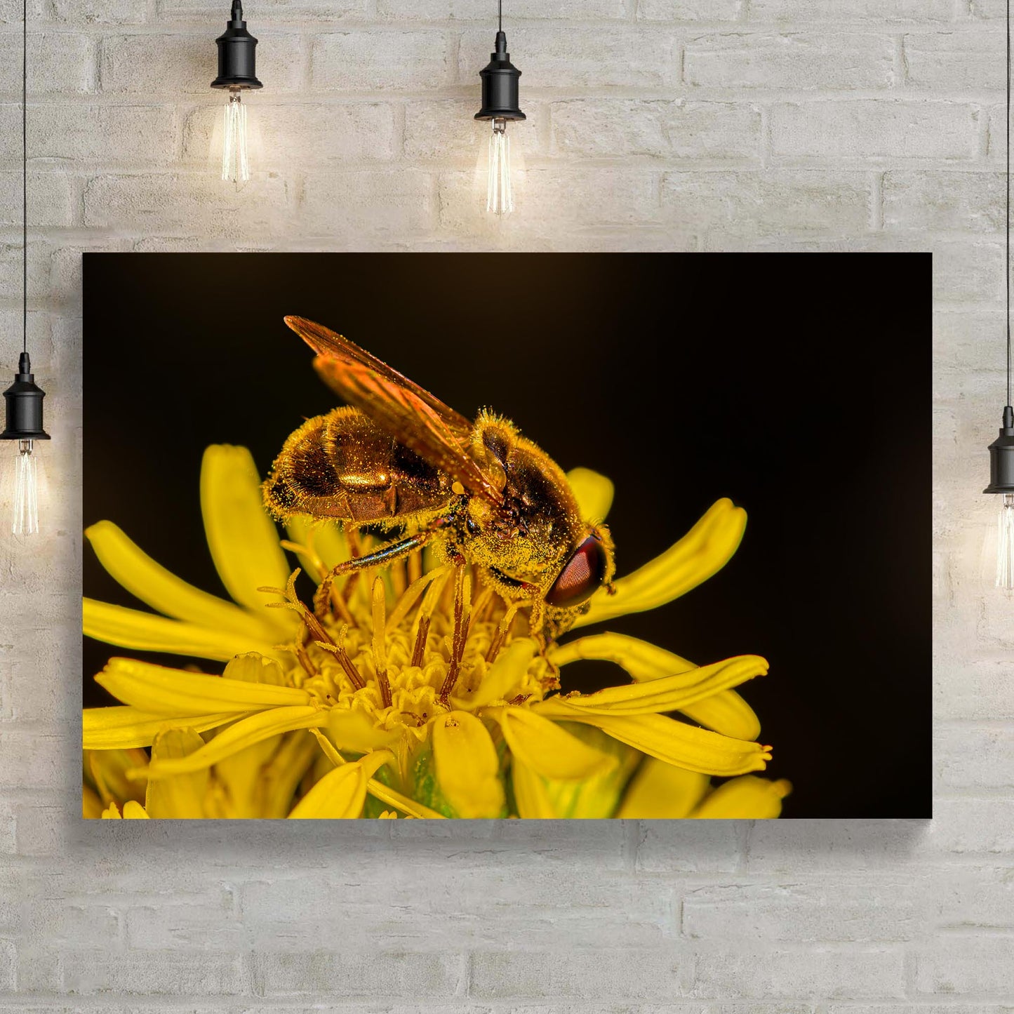 Bee At Work Canvas Wall Art - Image by Tailored Canvases