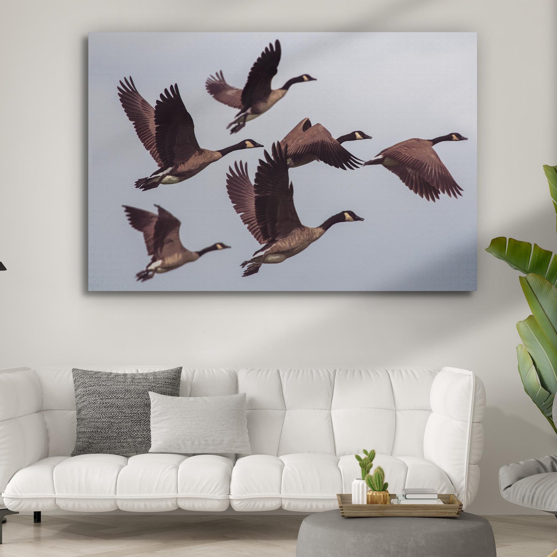 Canadian Geese Canvas Wall Art - Image by Tailored Canvases