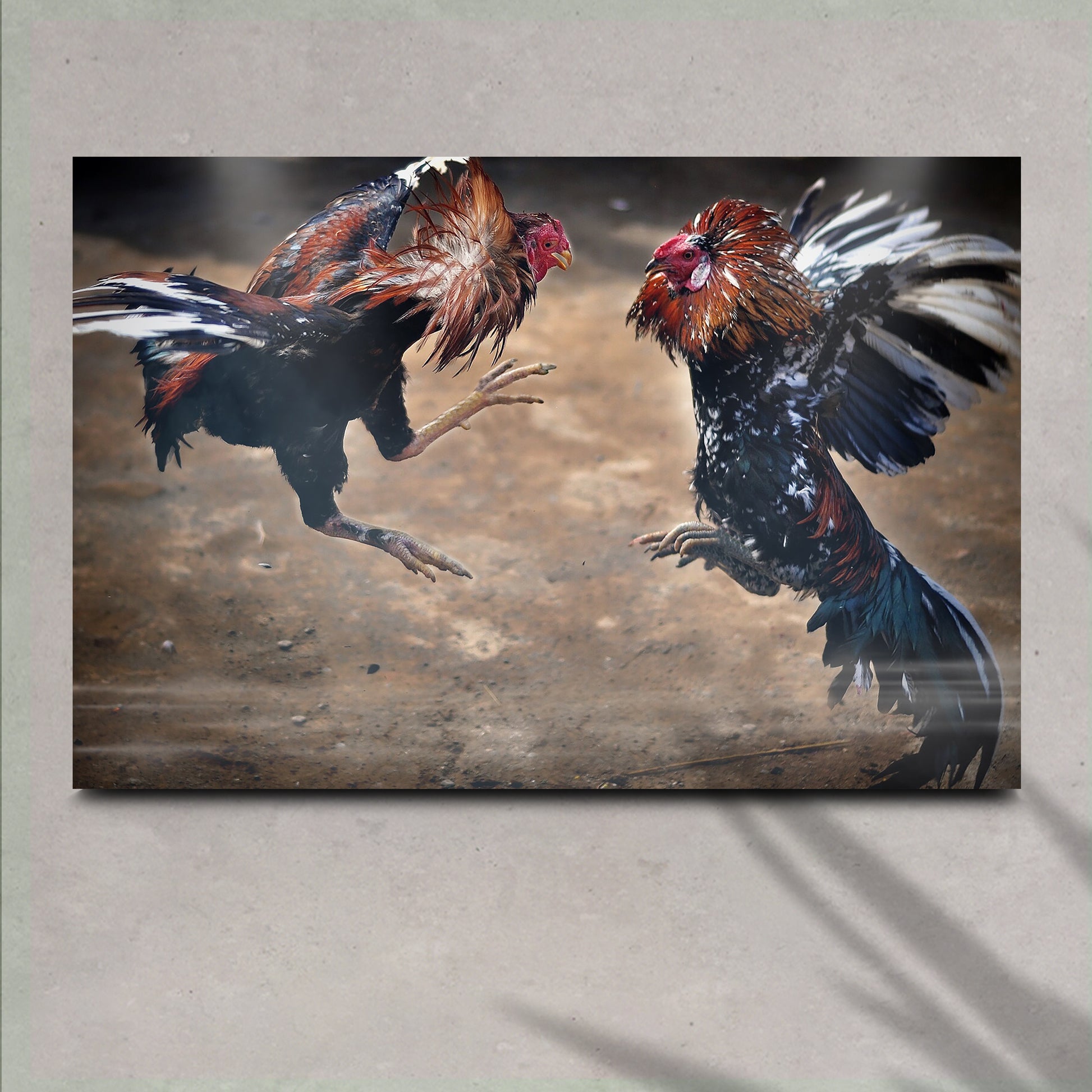 Cockfighting Canvas Wall Art - Image by Tailored Canvases