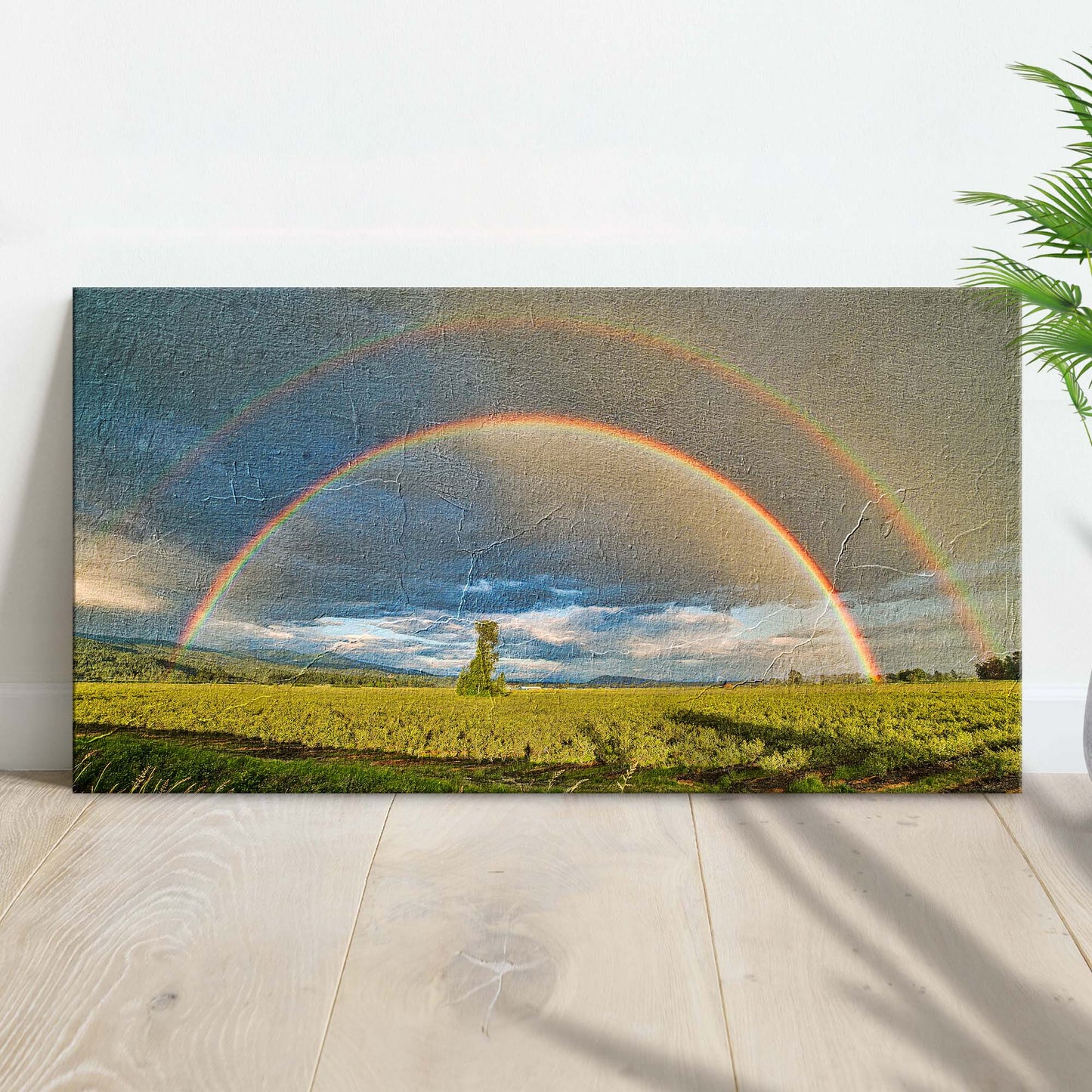 Double Rainbow Over The Field Canvas Wall Art - Image by Tailored Canvases