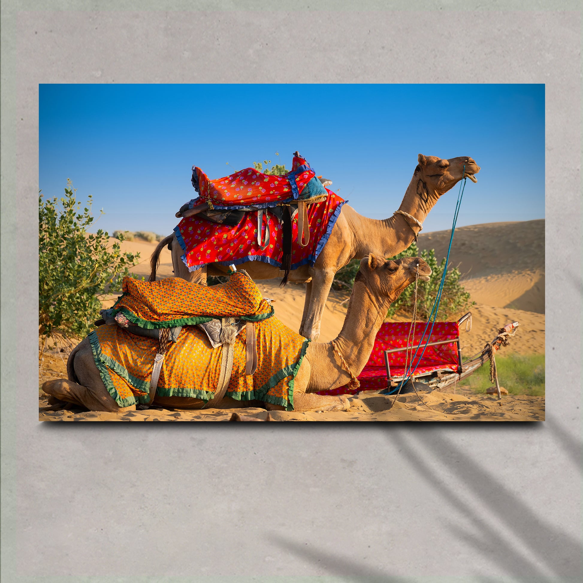 Camel Ride Canvas Wall Art - Image by Tailored Canvases