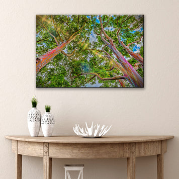 Rainbow Eucalyptus Tree Canvas Wall Art