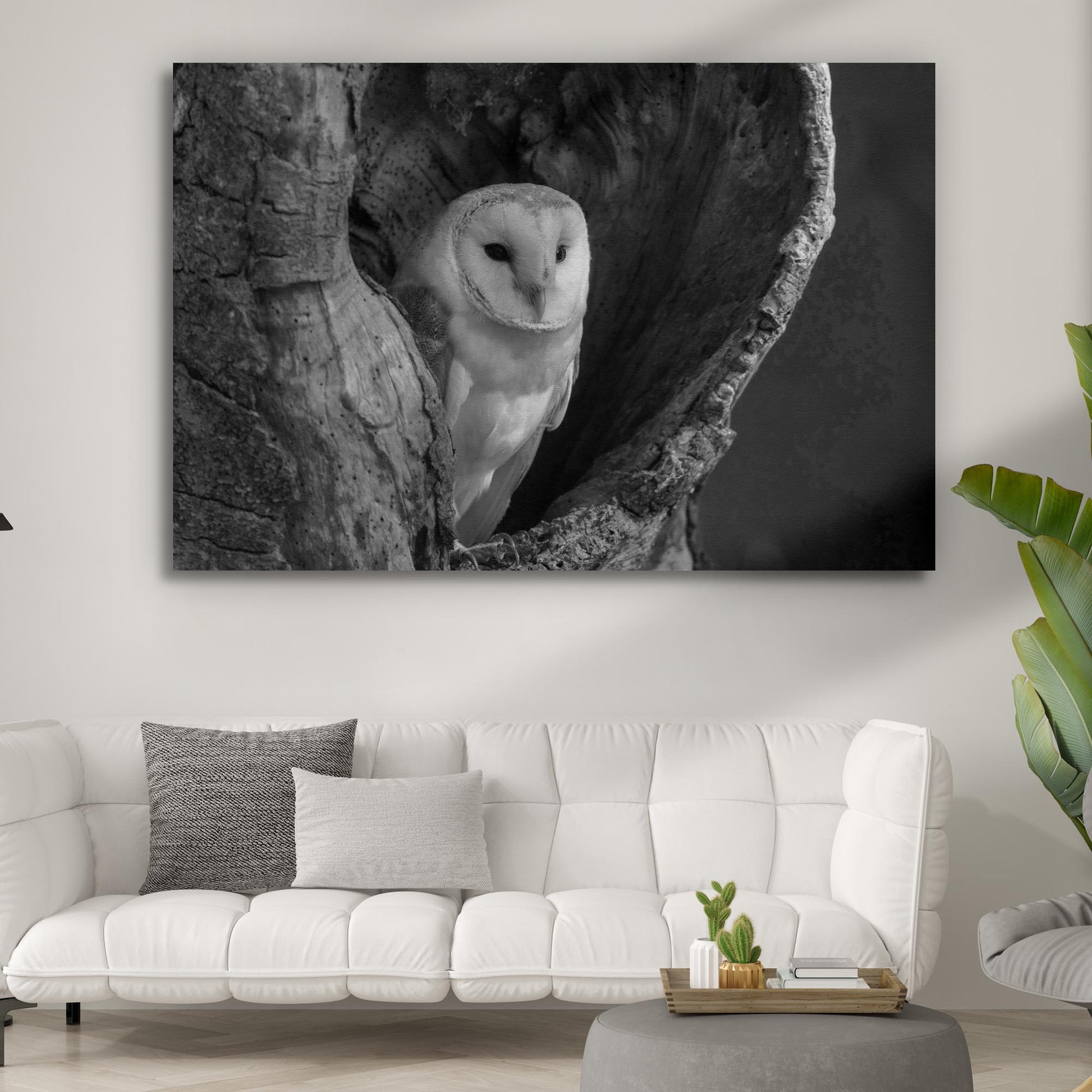 Monochrome Barn Owl Canvas Wall Art  - Image by Tailored Canvases