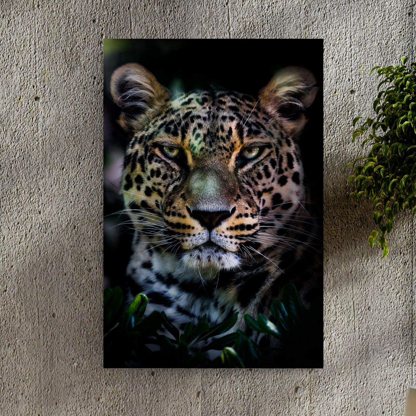 Sneaky Jungle Leopard Portrait Canvas Wall Art - Image by Tailored Canvases