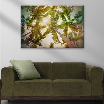 Looking Up Palm Trees Canvas Wall Art