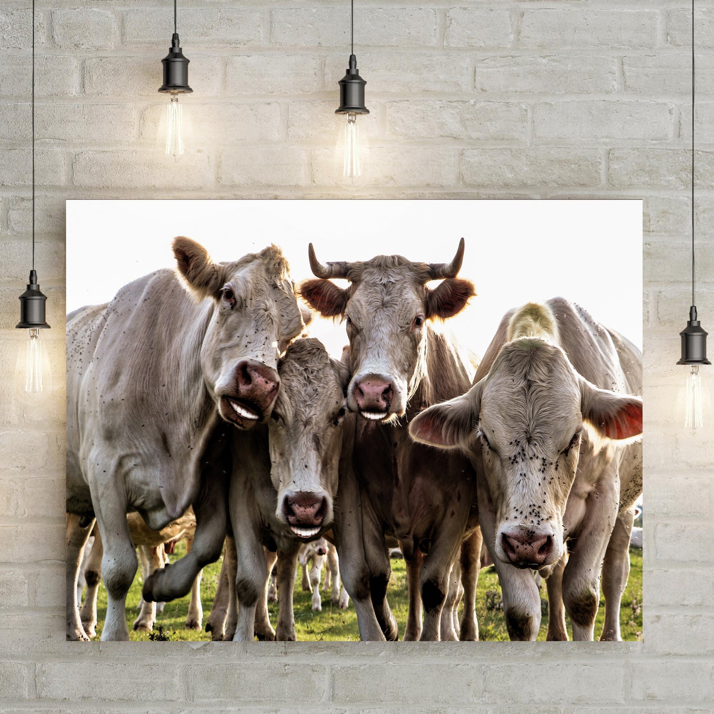 Happy Cows Canvas Wall Art - Image by Tailored Canvases