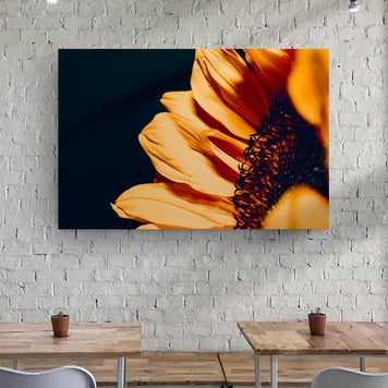 Sunflower Petals Canvas Wall Art