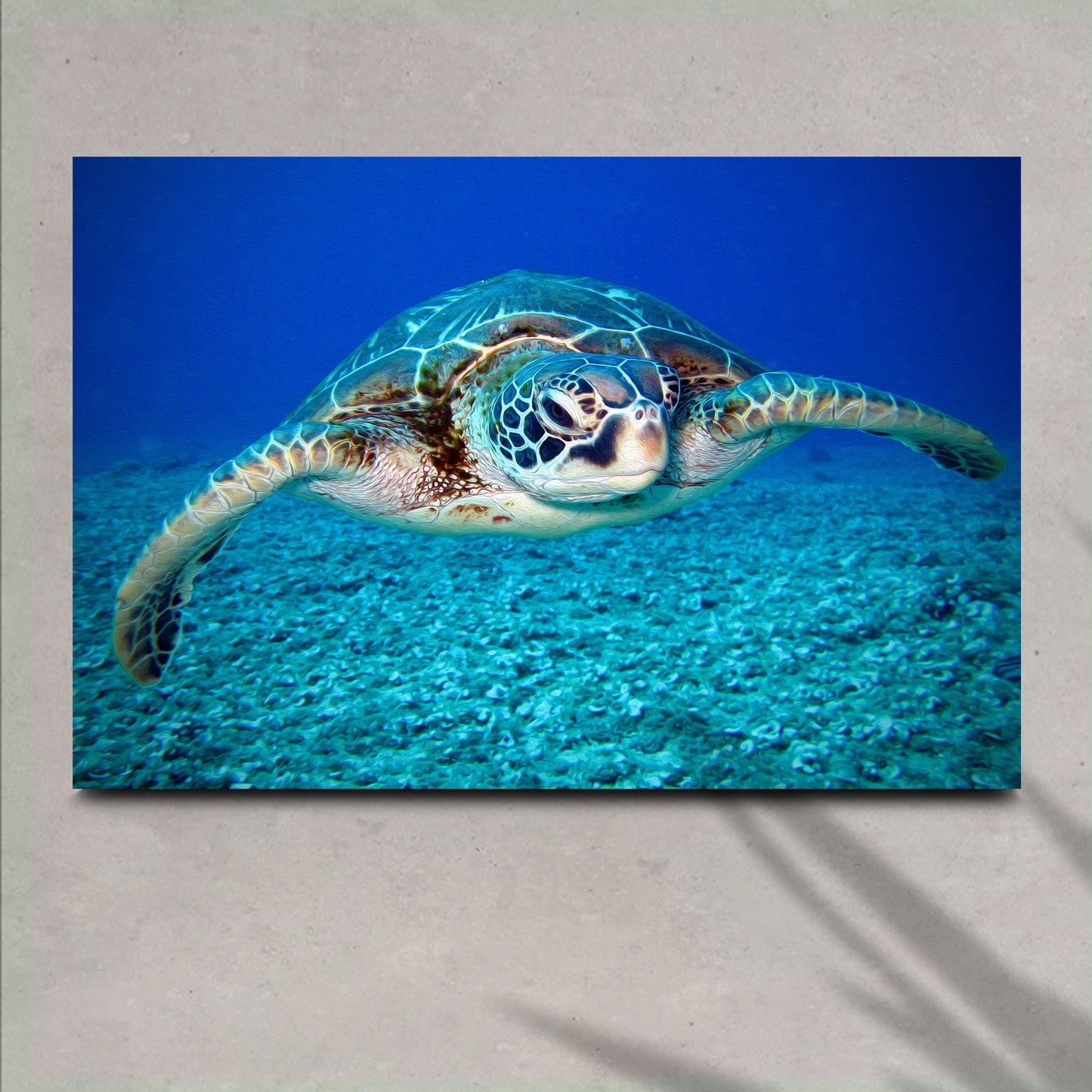 Green Sea Turtle Canvas Wall Art Style 1 - Image by Tailored Canvases