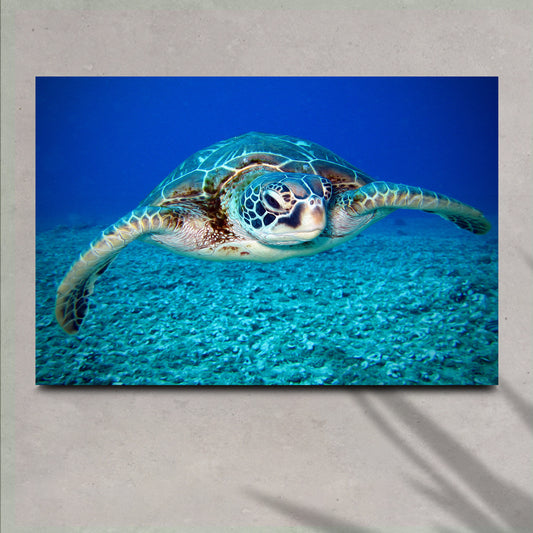 Green Sea Turtle Canvas Wall Art - Image by Tailored Canvases