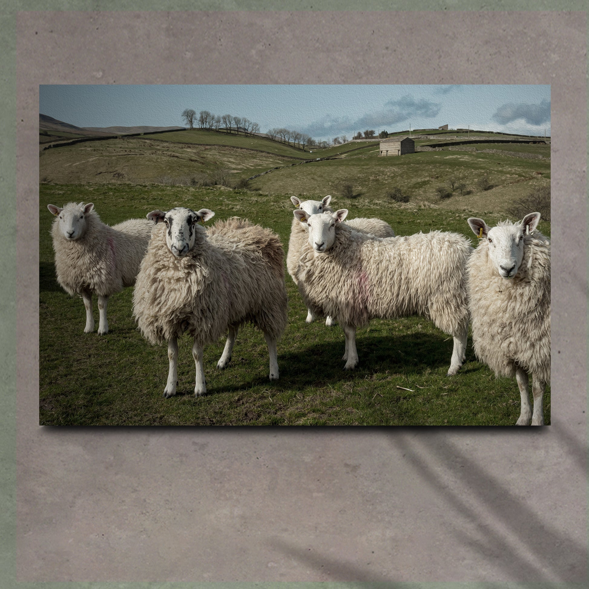 Flock Of Sheep Canvas Wall Art - Image by Tailored Canvases