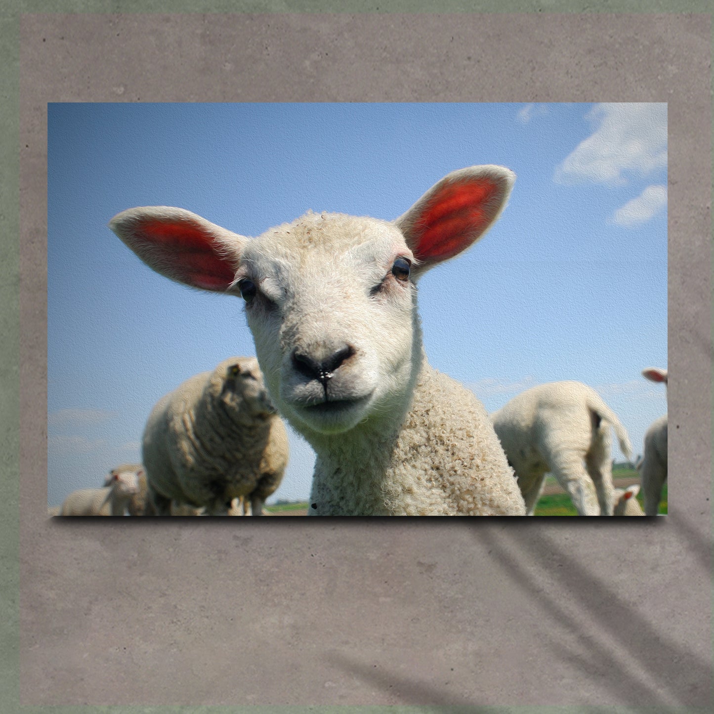 Curious Lamb Canvas Wall Art - Image by Tailored Canvases