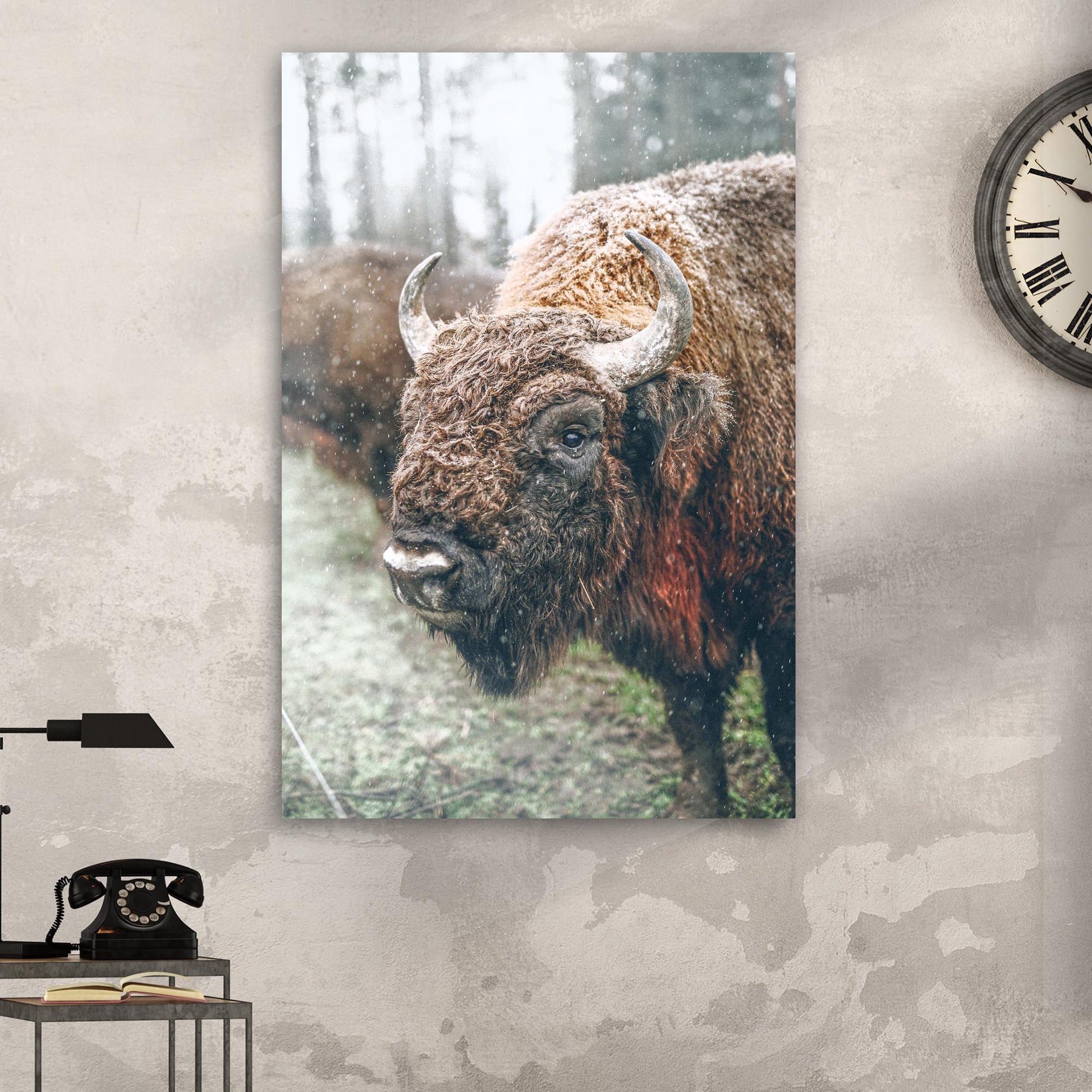 European Bison Cattle Canvas Wall Art Style 1 - Image by Tailored Canvases