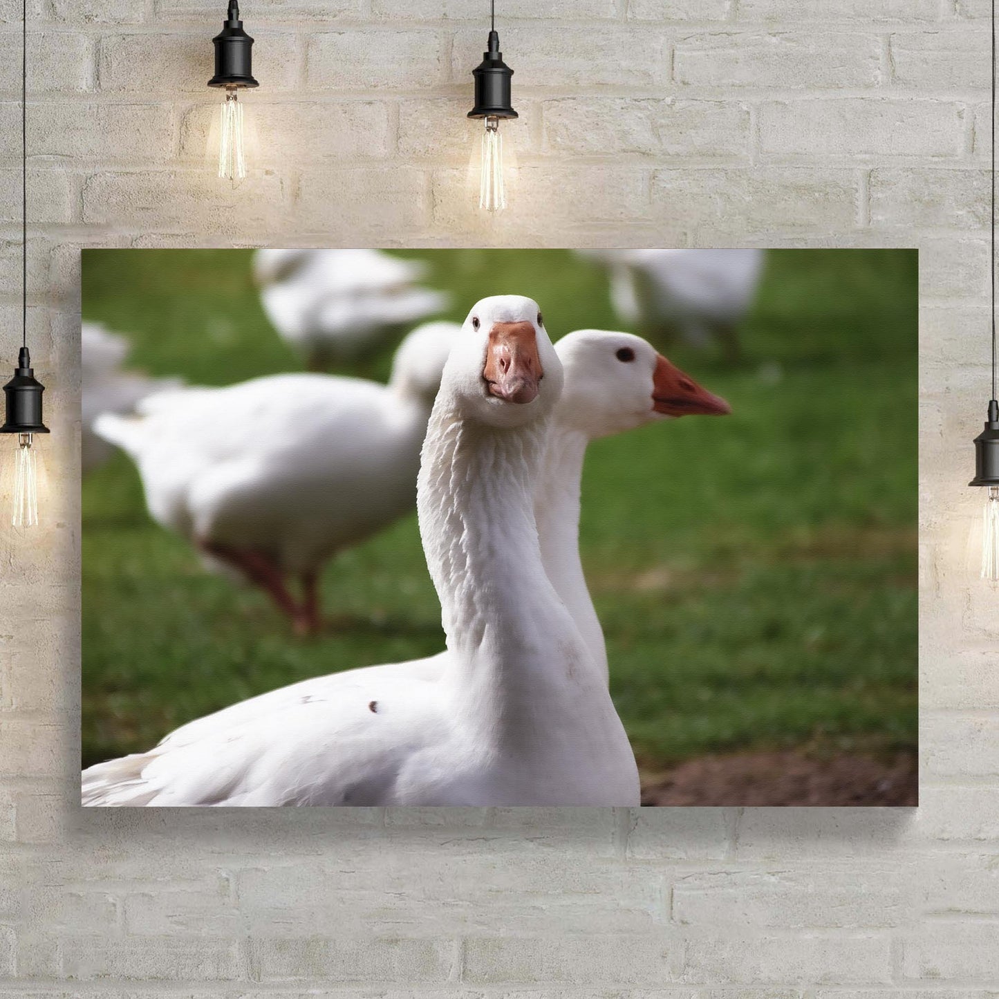 Curious Geese Canvas Wall Art - Image by Tailored Canvases