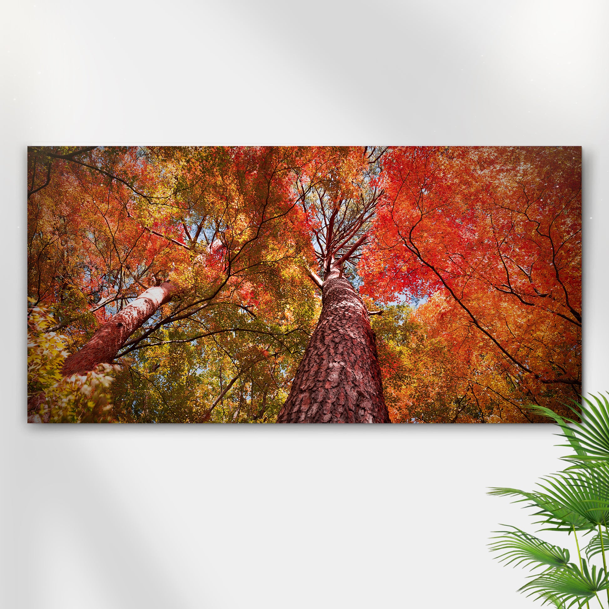 Under The Maple Trees On A Beautiful Morning Canvas Wall Art - Image by Tailored Canvases