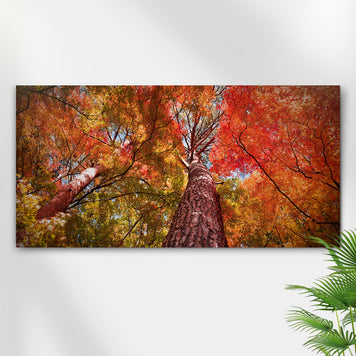 Under The Maple Trees On A Beautiful Morning Canvas Wall Art