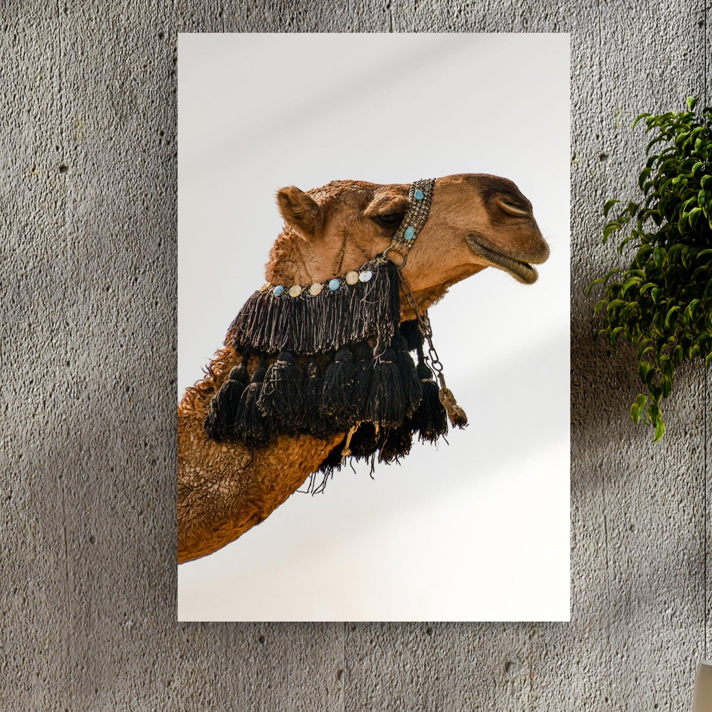 Boho Desert Camel Portrait Canvas Wall Art - Image by Tailored Canvases