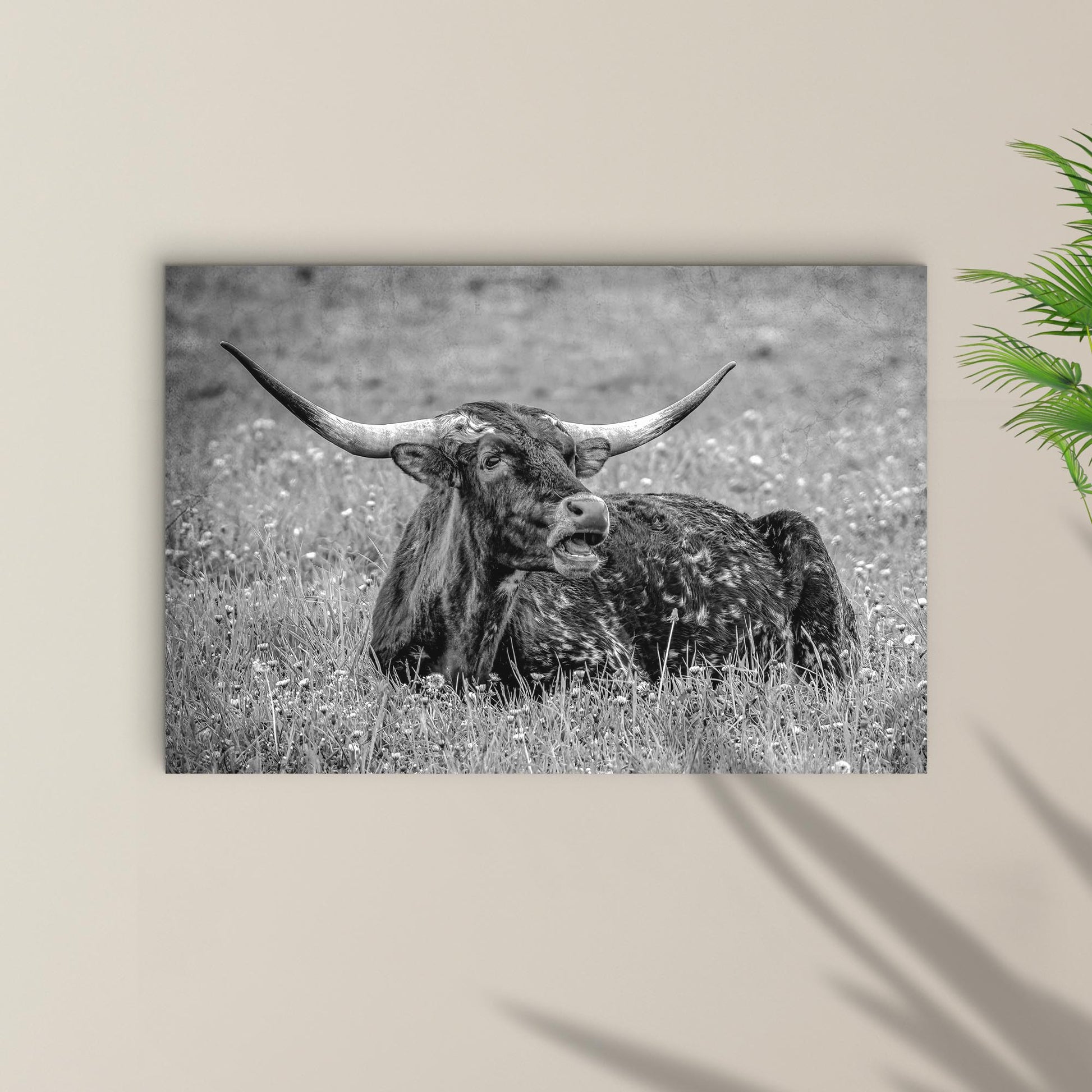 Black And White Longhorn Bull Canvas Wall Art - Image by Tailored Canvases
