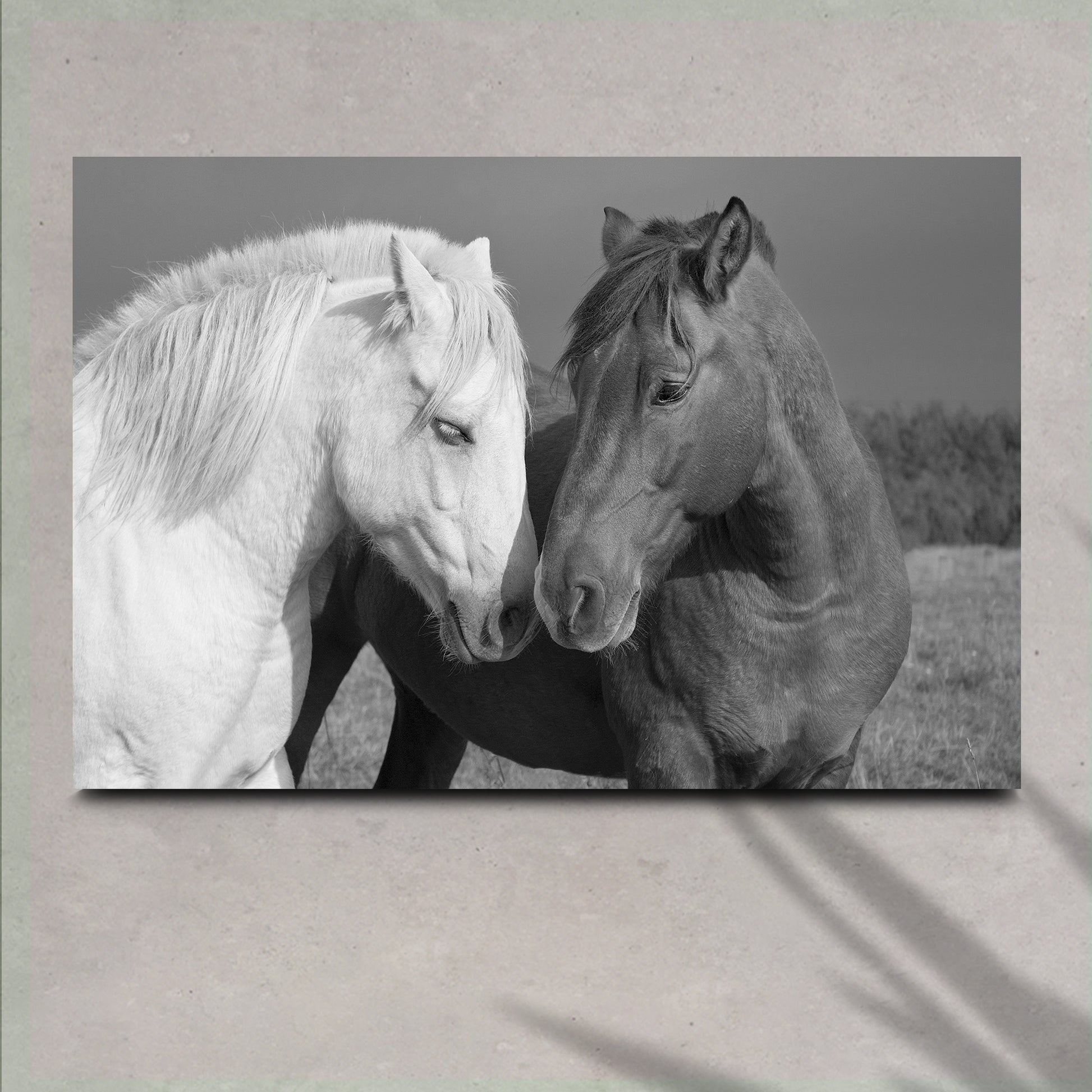 Horse Love Canvas Wall Art - Image by Tailored Canvases