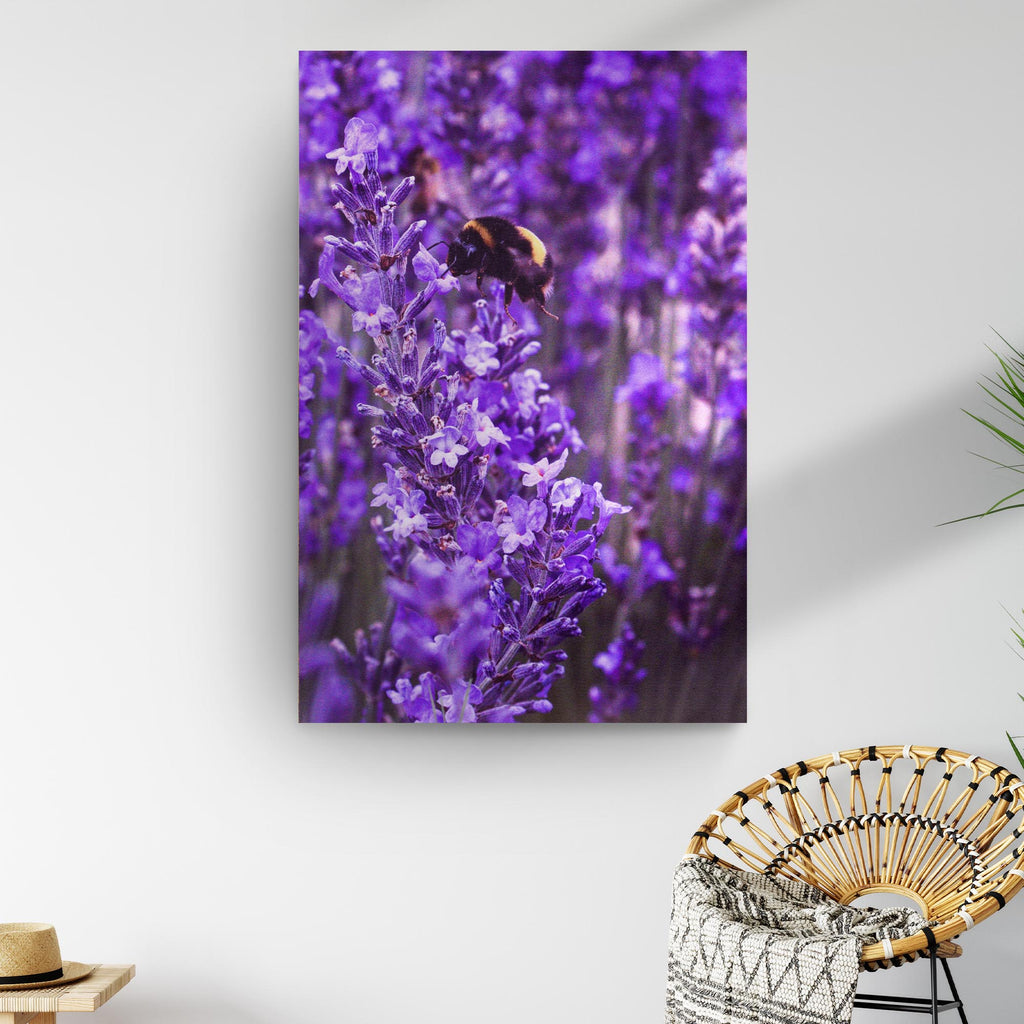 Bee Among Lavender Fields Canvas Wall Art by Tailored Canvases