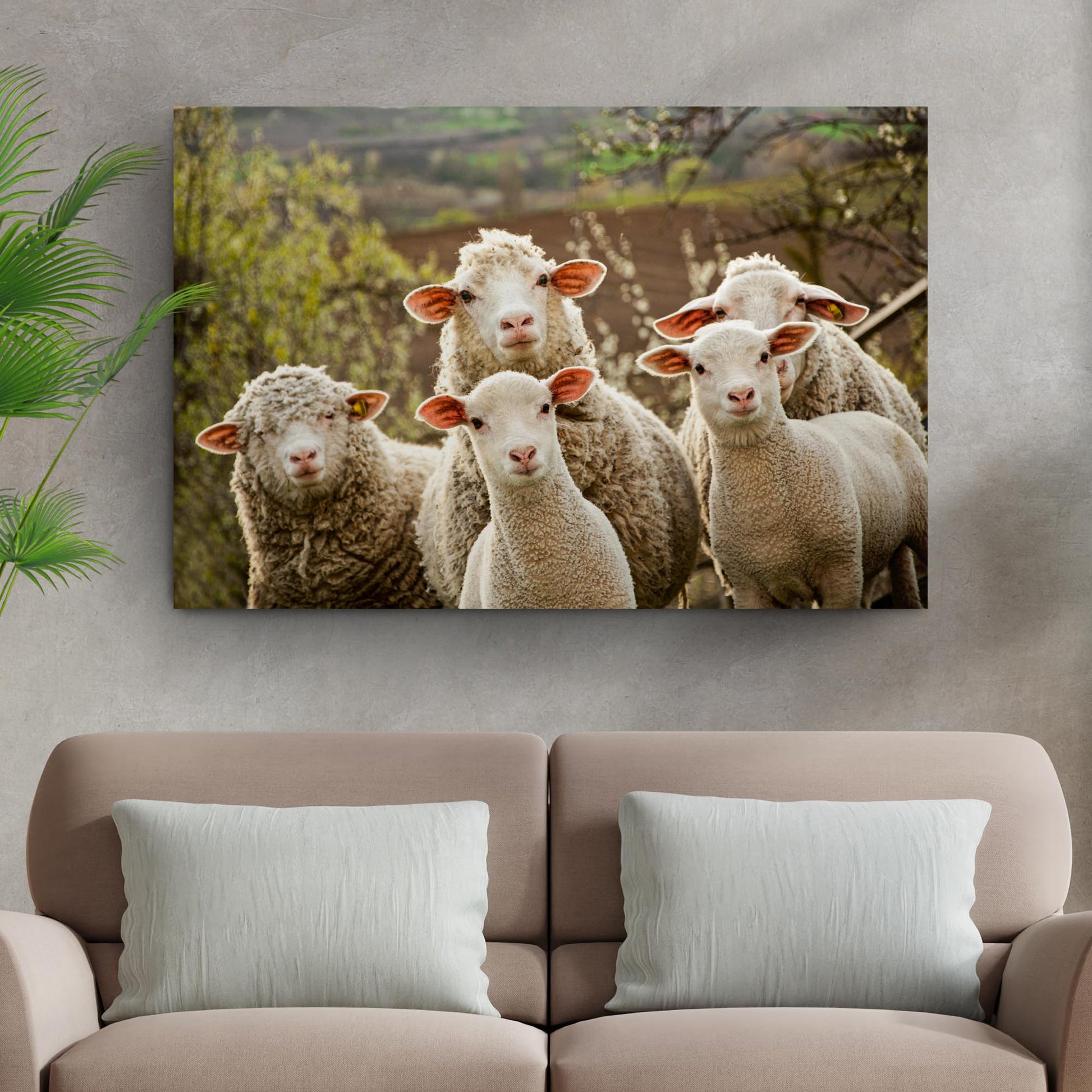 Curious Sheep Canvas Wall Art - Image by Tailored Canvases