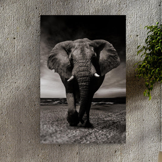 Monochrome Elephant Portrait Canvas Wall Art - Image by Tailored Canvases