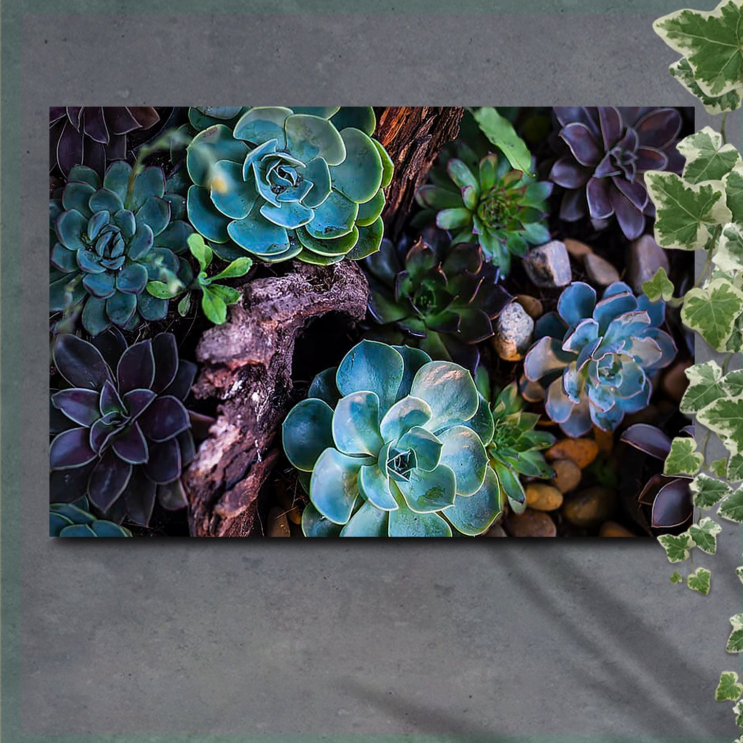 Green And Purple Succulents Canvas Wall Art - Image by Tailored Canvases