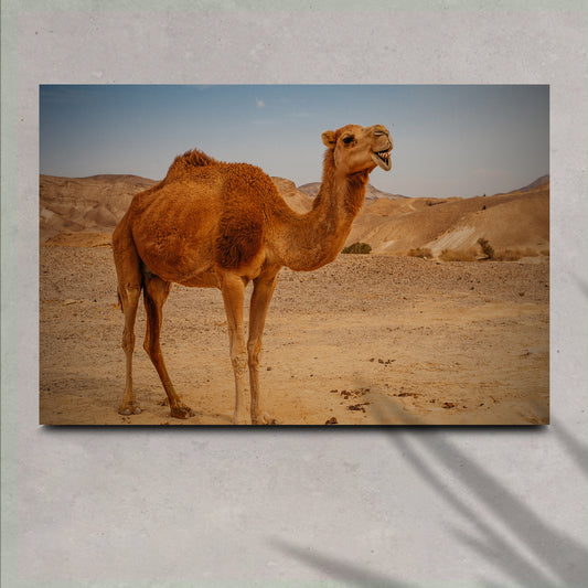 Arabian Camel Canvas Wall Art II - Image by Tailored Canvases