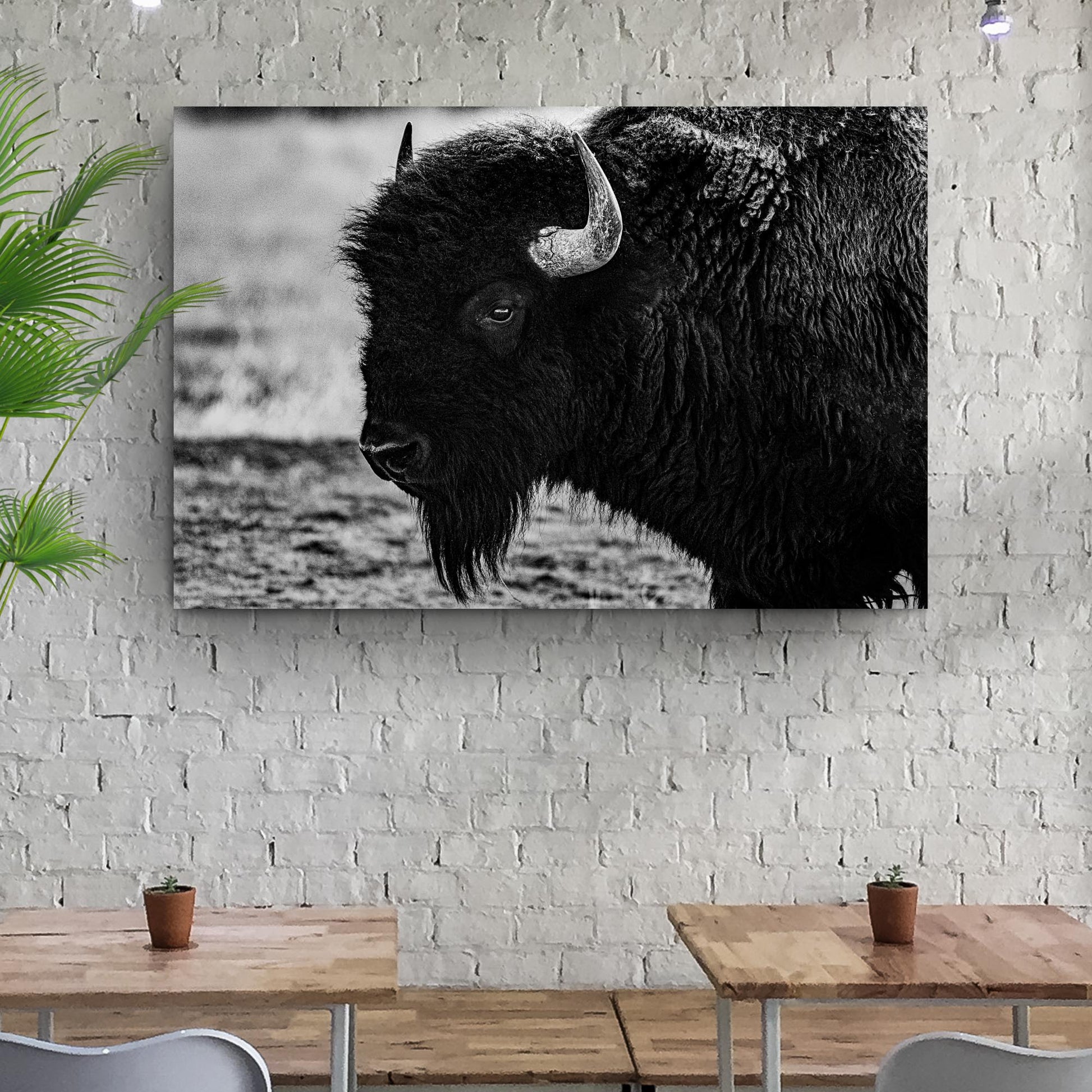 Black and White Bison Canvas Wall Art Style 1 - Image by Tailored Canvases