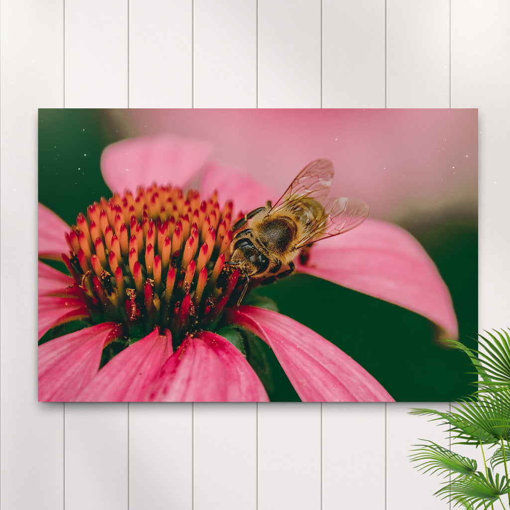 Pollinating Coneflower Canvas Wall Art by Tailored Canvases