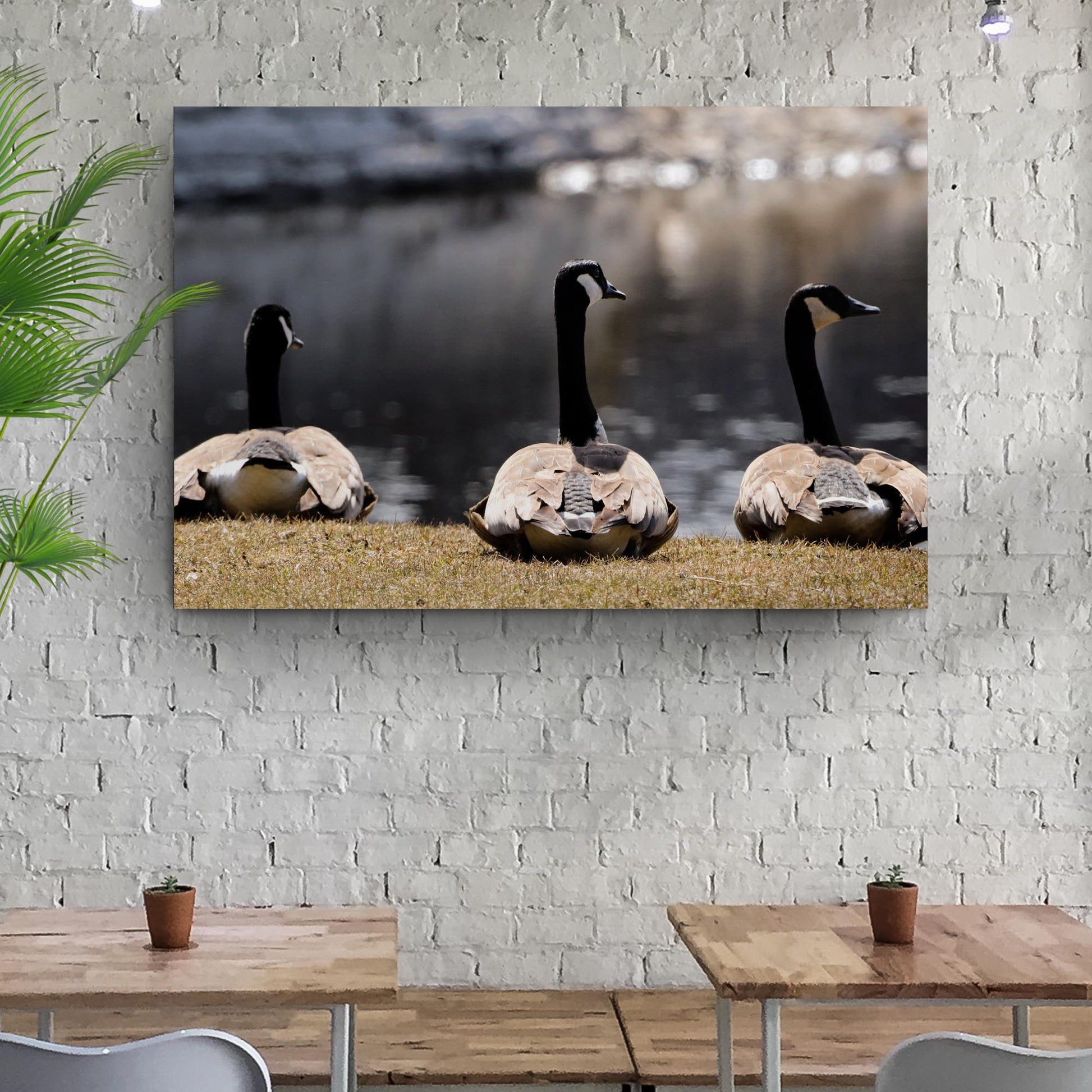 Resting Canadian Geese Canvas Wall Art Style 2 - Image by Tailored Canvases