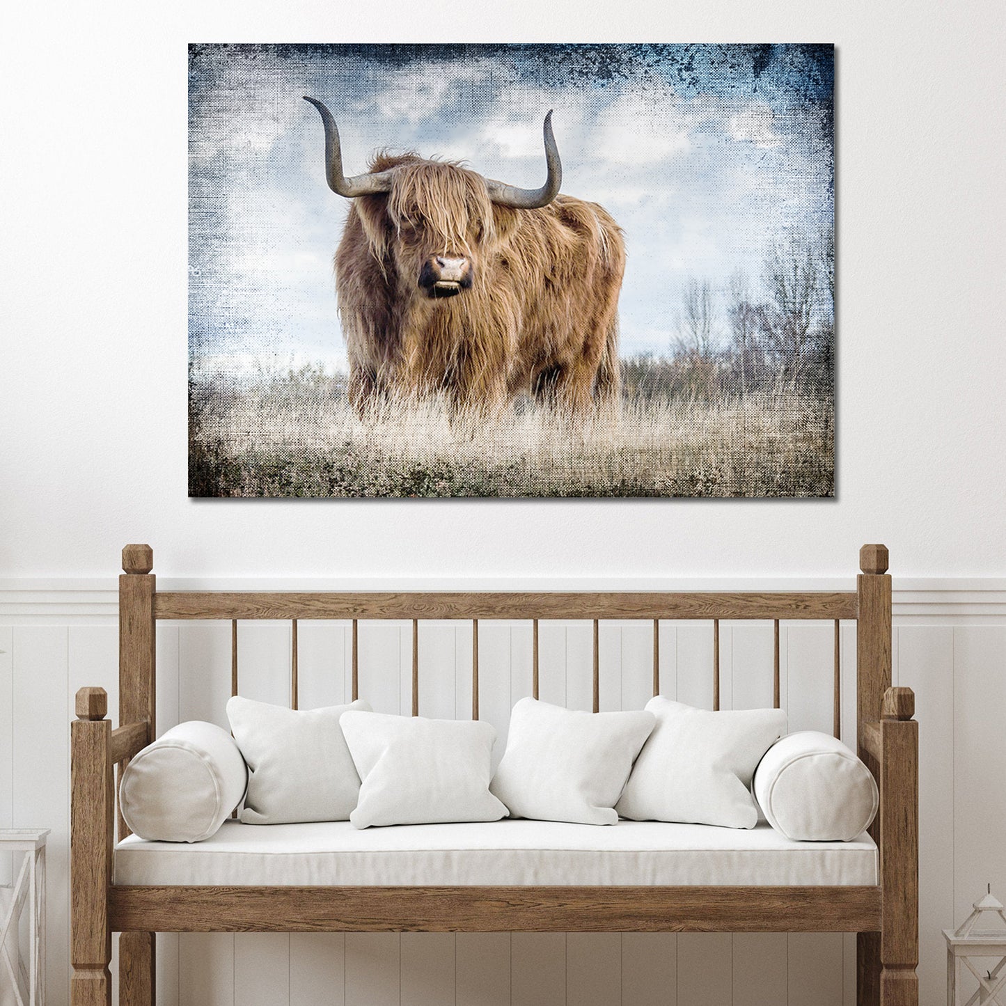 Highland Cattle Portrait - Image by Tailored Canvases