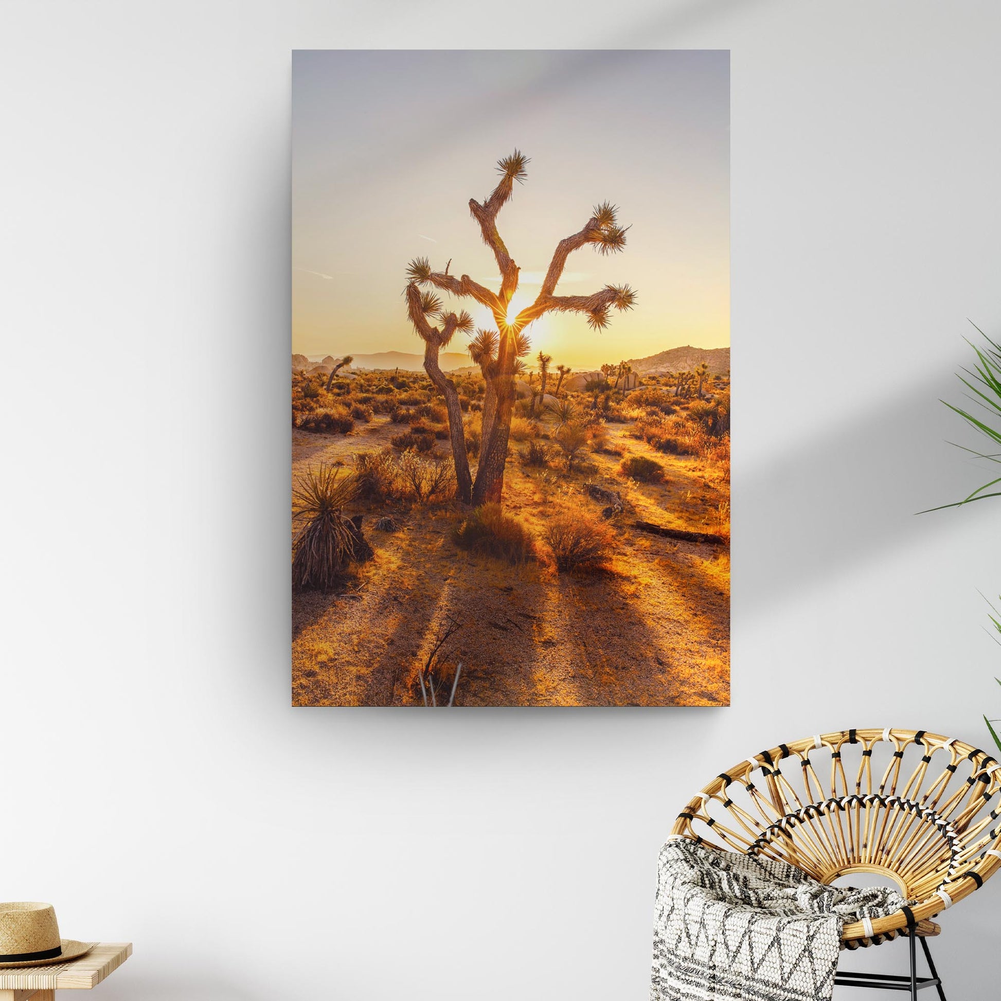 Joshua Tree Of The Mojave And Colorado Deserts Canvas Wall Art - Image by Tailored Canvases