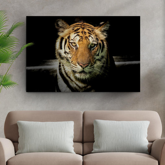 Lurking Tiger In The Dark Canvas Wall Art - Image by Tailored Canvases