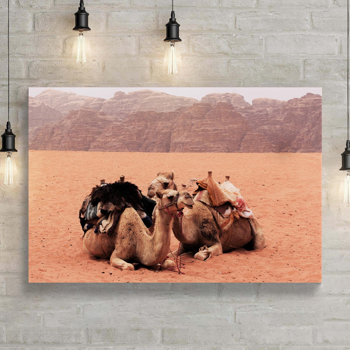 Camels In Wadi Rum Desert Canvas Wall Art - Image by Tailored Canvases