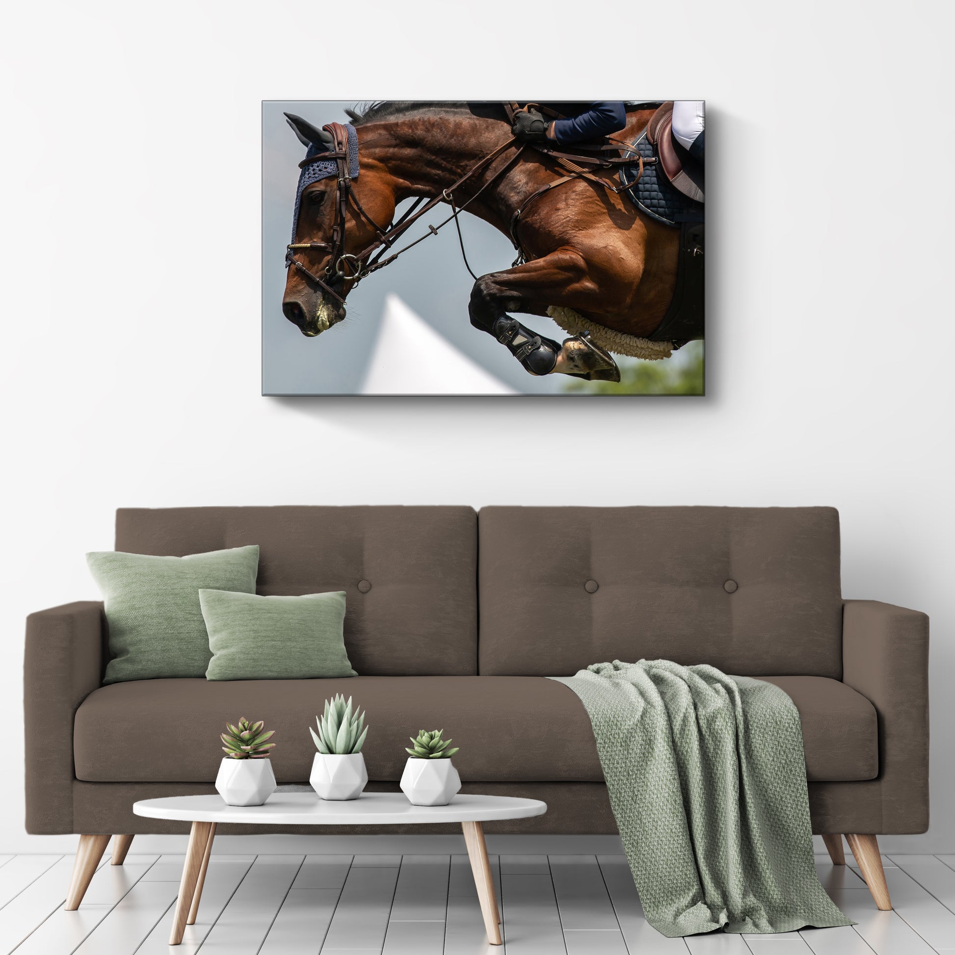 Equestrian Jumping Show Canvas Wall Art - Image by Tailored Canvases