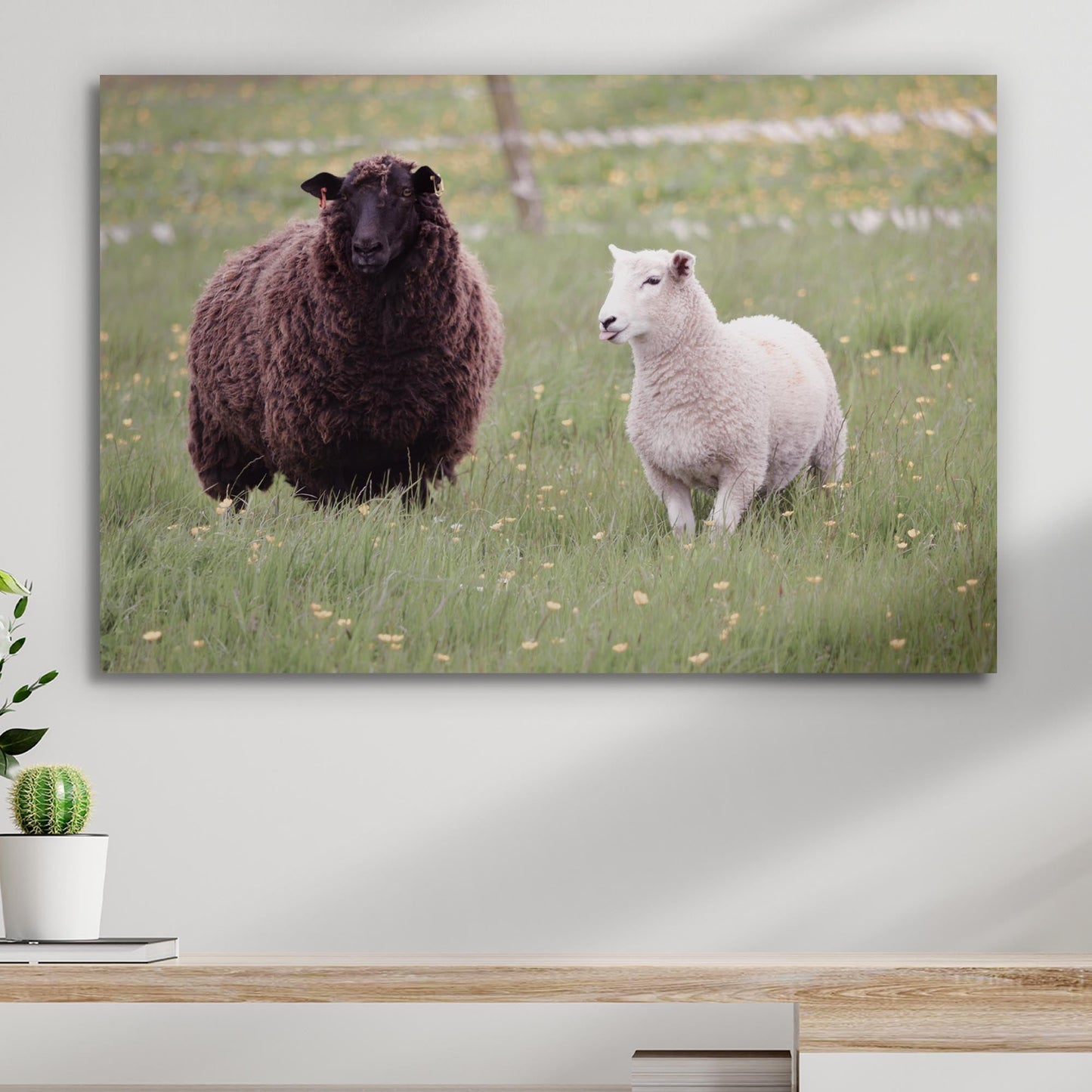 Hello Dally The Sheep Canvas Wall Art - Image by Tailored Canvases