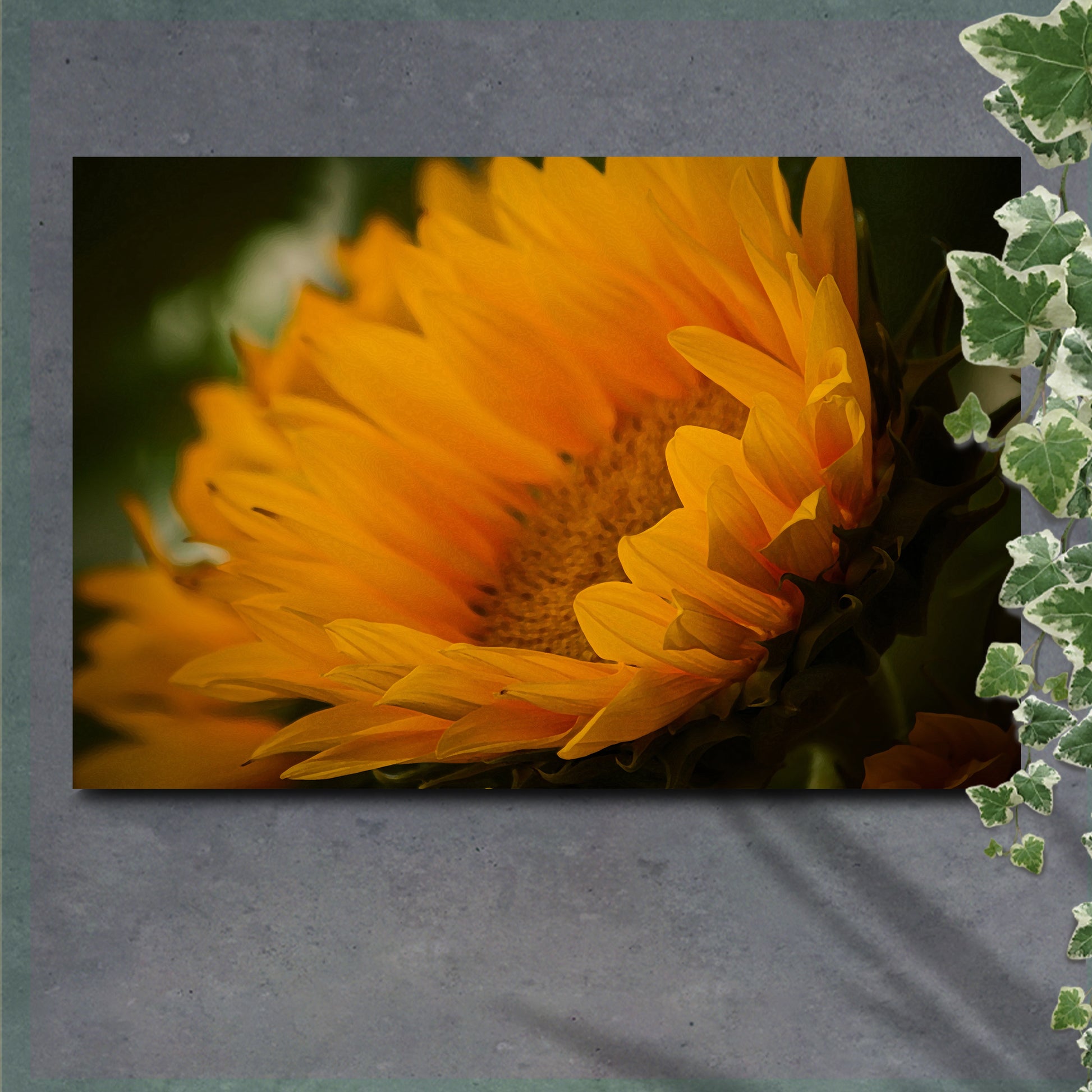 Last Of The Sunflowers Canvas Wall Art - Image by Tailored Canvases